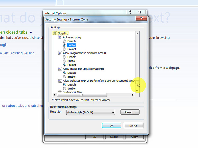 When the "Security Settings - Internet Zone" dialog window opens, look for the "Scripting" section.